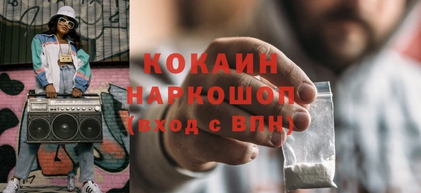 хмурый Няндома