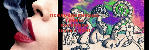 ПСИЛОЦИБИНОВЫЕ ГРИБЫ Дмитров